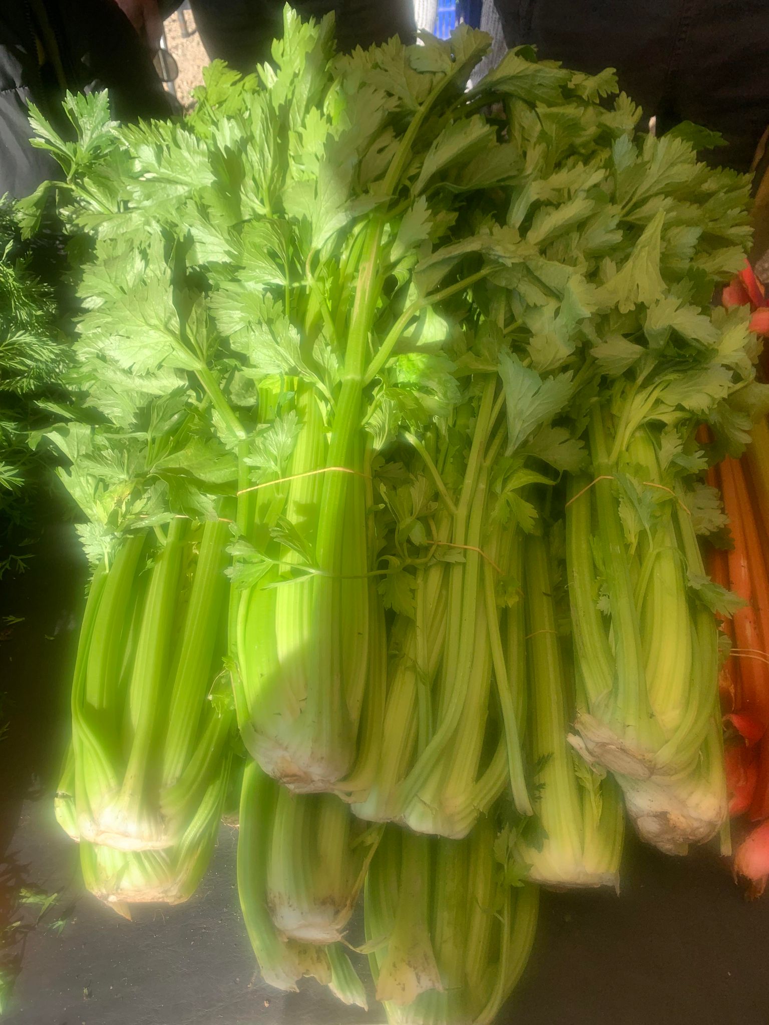 Read more about the article Celery is in season over at Summit Organics