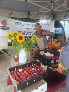Read more about the article Local peach season begins!