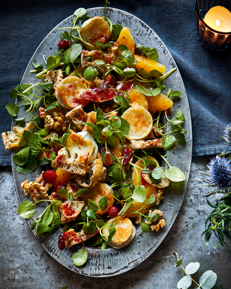 Read more about the article Goat’s cheese salad with cranberry dressing
