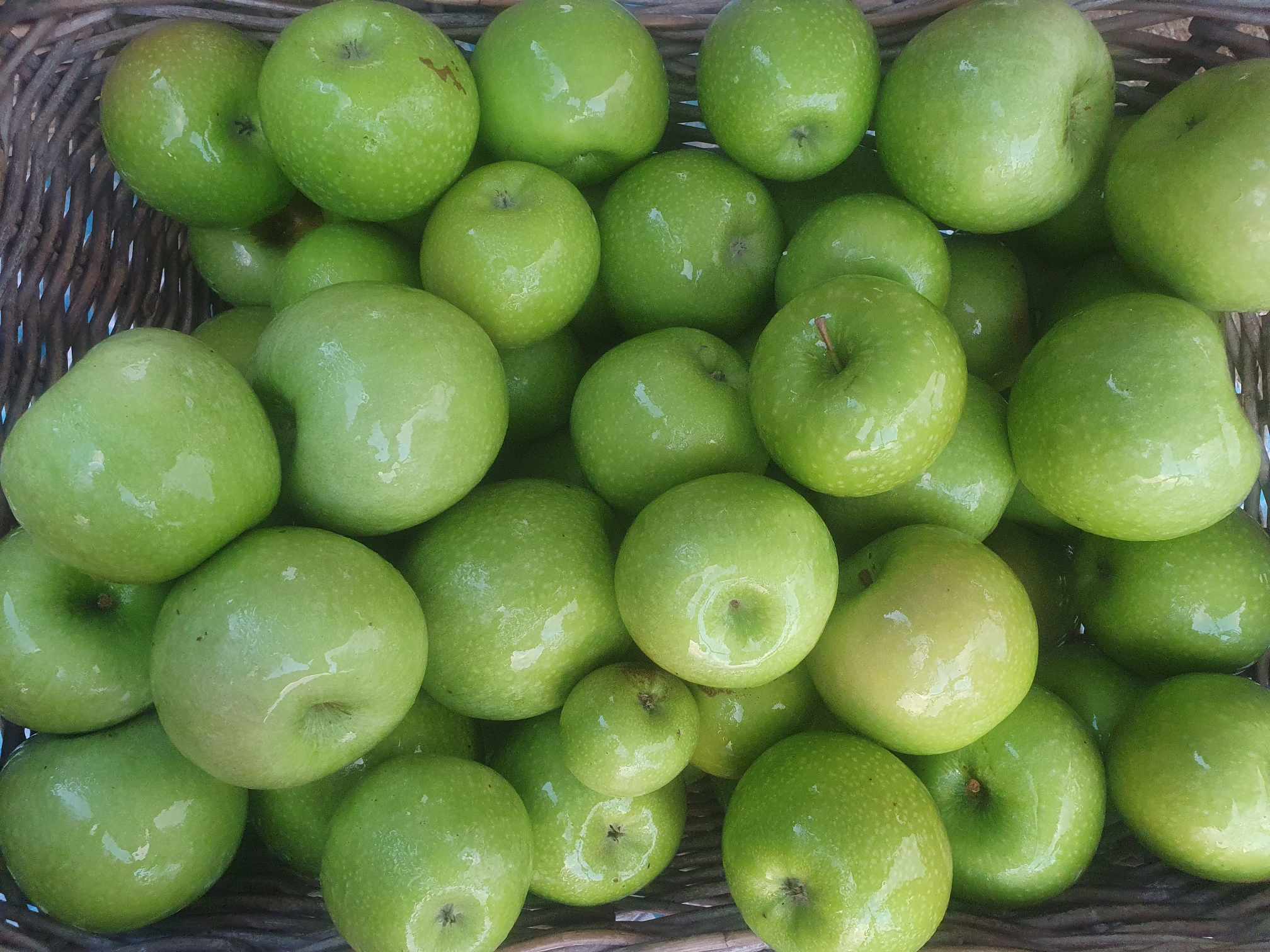 You are currently viewing New season Granny Smith’s and quince have arrived
