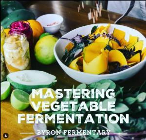 Read more about the article Do you love fermentation?