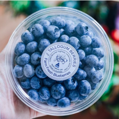 You are currently viewing They’re back – blueberries return!