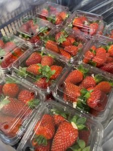 Read more about the article Strawberries are back at Summit Organics